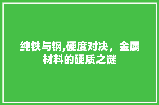 纯铁与钢,硬度对决，金属材料的硬质之谜 装修攻略