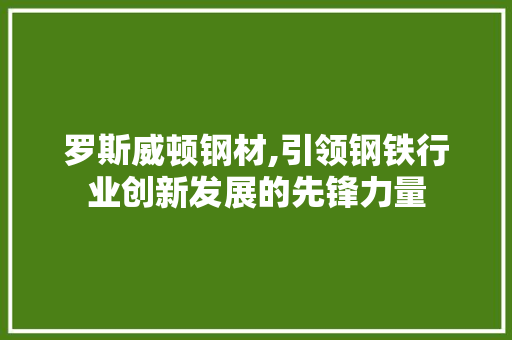 罗斯威顿钢材,引领钢铁行业创新发展的先锋力量
