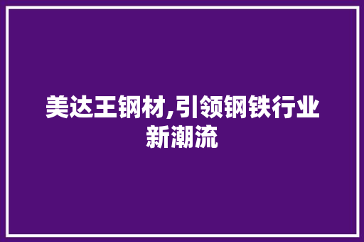 美达王钢材,引领钢铁行业新潮流