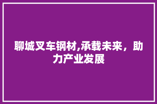 聊城叉车钢材,承载未来，助力产业发展