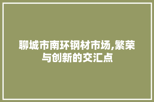 聊城市南环钢材市场,繁荣与创新的交汇点