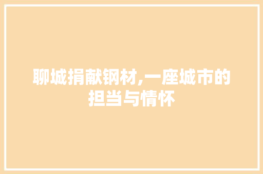 聊城捐献钢材,一座城市的担当与情怀