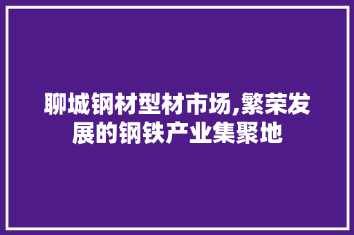 聊城钢材型材市场,繁荣发展的钢铁产业集聚地