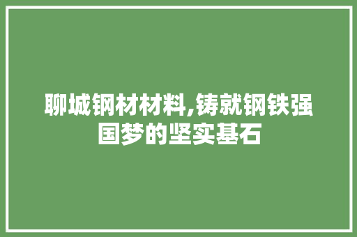 聊城钢材材料,铸就钢铁强国梦的坚实基石