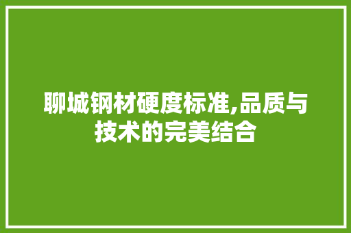 聊城钢材硬度标准,品质与技术的完美结合