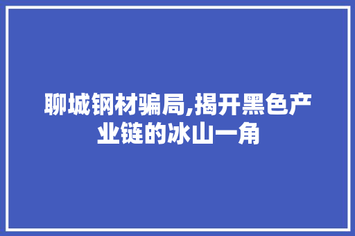 聊城钢材骗局,揭开黑色产业链的冰山一角