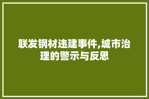 联发钢材违建事件,城市治理的警示与反思