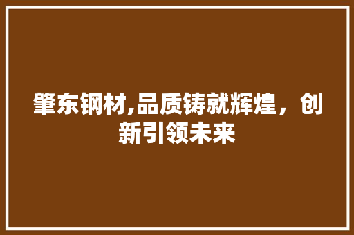 肇东钢材,品质铸就辉煌，创新引领未来