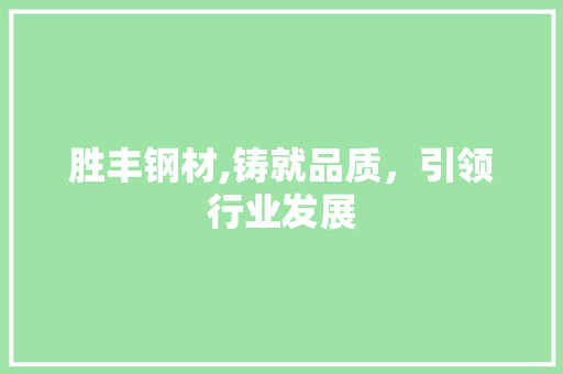 胜丰钢材,铸就品质，引领行业发展 装修材料
