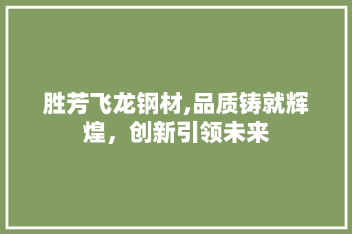 胜芳飞龙钢材,品质铸就辉煌，创新引领未来