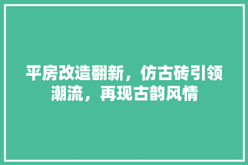 平房改造翻新，仿古砖引领潮流，再现古韵风情