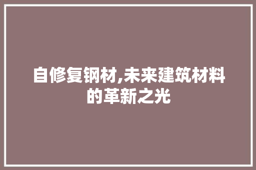 自修复钢材,未来建筑材料的革新之光