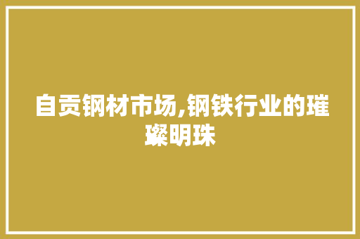 自贡钢材市场,钢铁行业的璀璨明珠