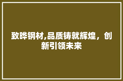 致晔钢材,品质铸就辉煌，创新引领未来