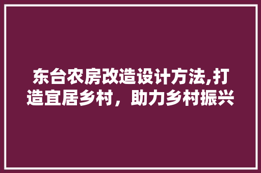东台农房改造设计方法,打造宜居乡村，助力乡村振兴