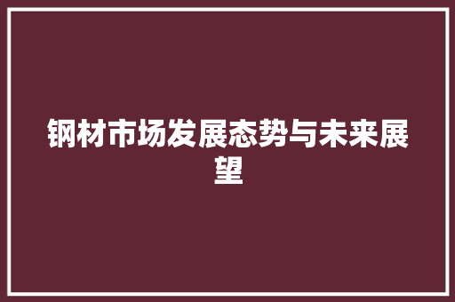 钢材市场发展态势与未来展望