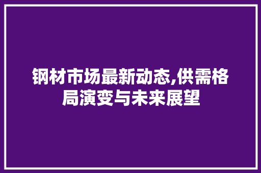 钢材市场最新动态,供需格局演变与未来展望