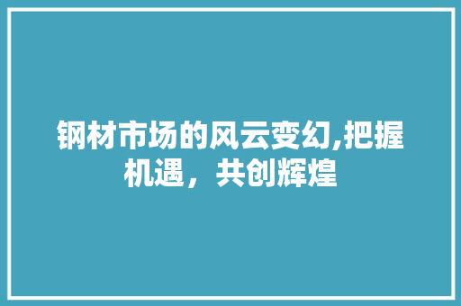 钢材市场的风云变幻,把握机遇，共创辉煌