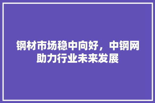钢材市场稳中向好，中钢网助力行业未来发展