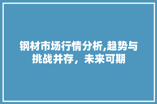 钢材市场行情分析,趋势与挑战并存，未来可期