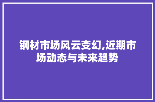 钢材市场风云变幻,近期市场动态与未来趋势