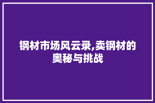 钢材市场风云录,卖钢材的奥秘与挑战