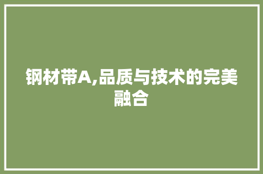 钢材带A,品质与技术的完美融合