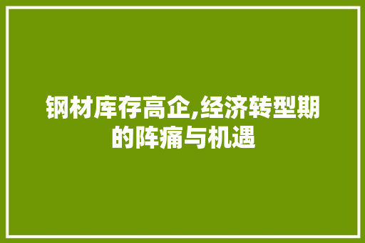 钢材库存高企,经济转型期的阵痛与机遇