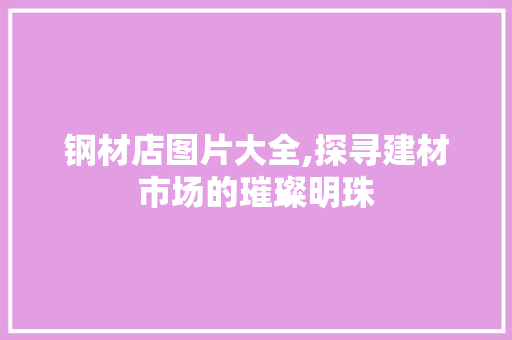 钢材店图片大全,探寻建材市场的璀璨明珠