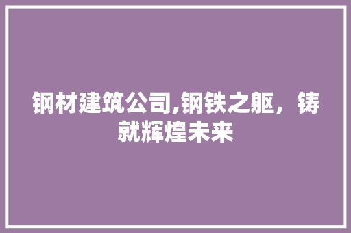 钢材建筑公司,钢铁之躯，铸就辉煌未来