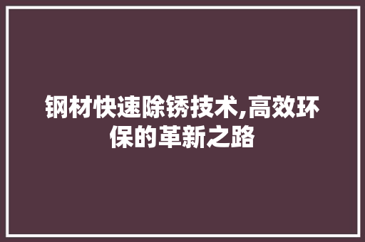 钢材快速除锈技术,高效环保的革新之路