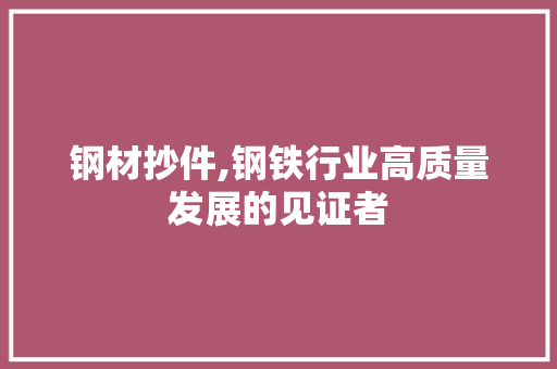 钢材抄件,钢铁行业高质量发展的见证者