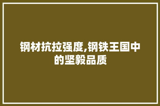 钢材抗拉强度,钢铁王国中的坚毅品质