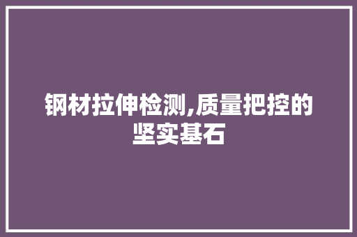 钢材拉伸检测,质量把控的坚实基石