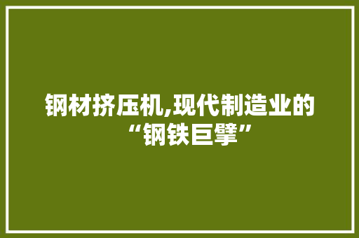 钢材挤压机,现代制造业的“钢铁巨擘”