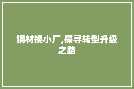 钢材换小厂,探寻转型升级之路