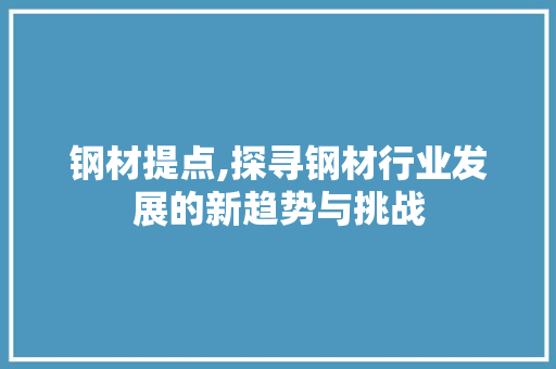 钢材提点,探寻钢材行业发展的新趋势与挑战