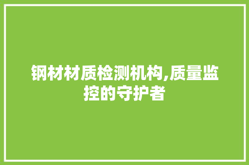 钢材材质检测机构,质量监控的守护者