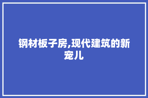 钢材板子房,现代建筑的新宠儿