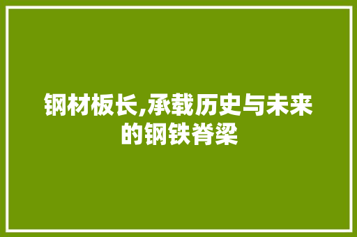 钢材板长,承载历史与未来的钢铁脊梁
