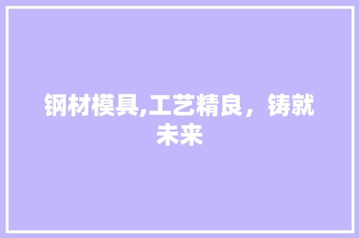 钢材模具,工艺精良，铸就未来