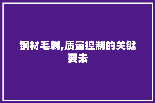 钢材毛刺,质量控制的关键要素