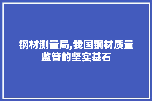 钢材测量局,我国钢材质量监管的坚实基石