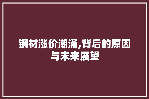 钢材涨价潮涌,背后的原因与未来展望
