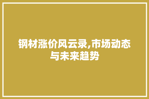 钢材涨价风云录,市场动态与未来趋势