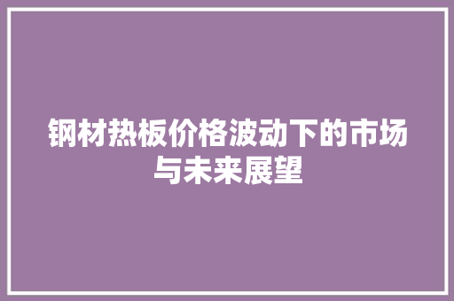 钢材热板价格波动下的市场与未来展望
