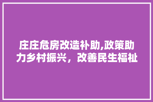 庄庄危房改造补助,政策助力乡村振兴，改善民生福祉