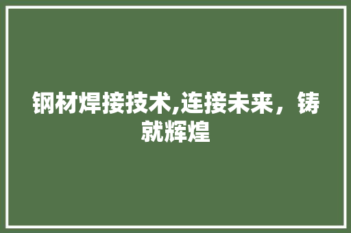 钢材焊接技术,连接未来，铸就辉煌