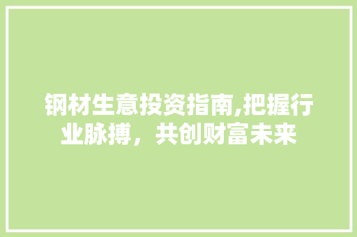 钢材生意投资指南,把握行业脉搏，共创财富未来