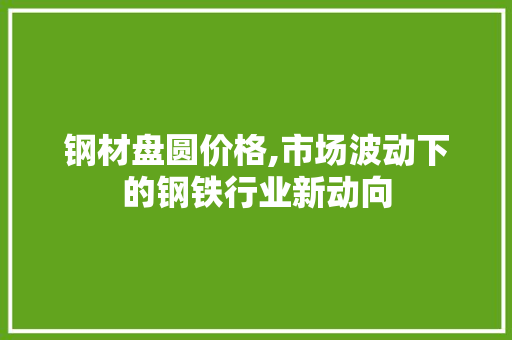 钢材盘圆价格,市场波动下的钢铁行业新动向